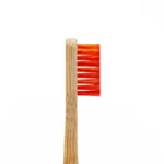 Angelus 2 Piece Detail Cleaning Brush Set - 10162